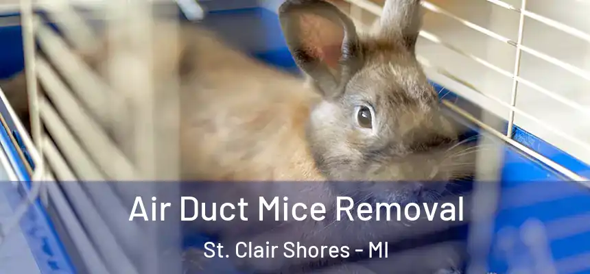  Air Duct Mice Removal St. Clair Shores - MI