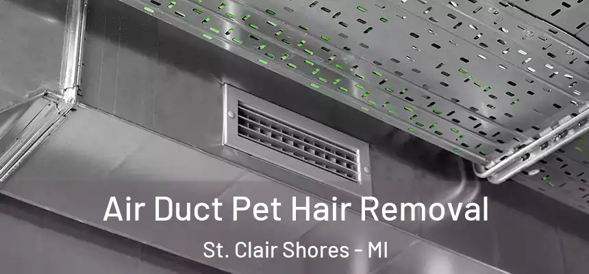  Air Duct Pet Hair Removal St. Clair Shores - MI