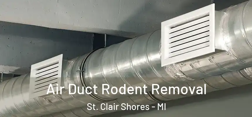  Air Duct Rodent Removal St. Clair Shores - MI