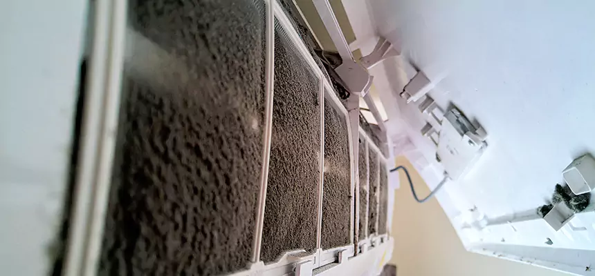 Preventive Air Duct Bacteria Removal in St. Clair Shores