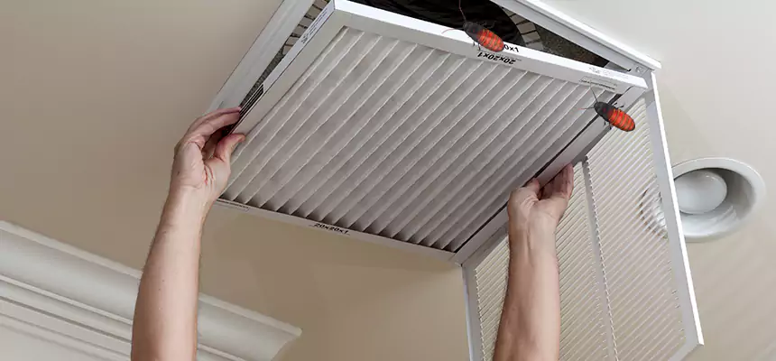 Preventive Cockroach-Proofing for Ducts in St. Clair Shores