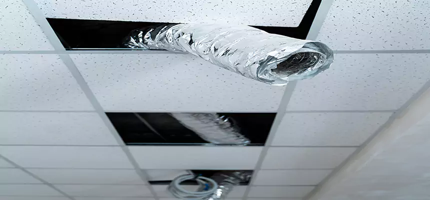 Affordable HVAC Sanitizing After Pest Removal in St. Clair Shores