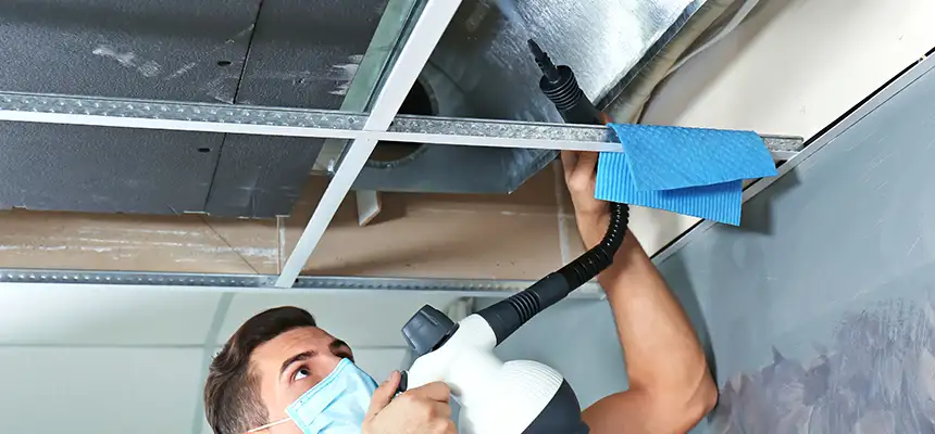 Our Air Duct Rodent Removal Services in St. Clair Shores, MI