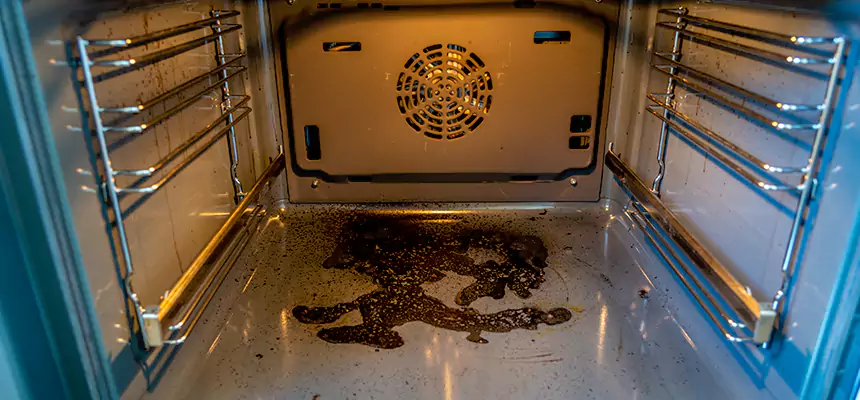 Our Dryer Vent Mold Cleaning Services in St. Clair Shores, MI