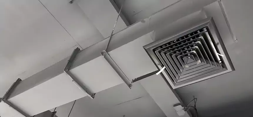 Our Rodent Droppings In Vents Services in St. Clair Shores, MI