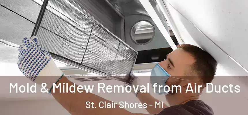  Mold & Mildew Removal from Air Ducts St. Clair Shores - MI