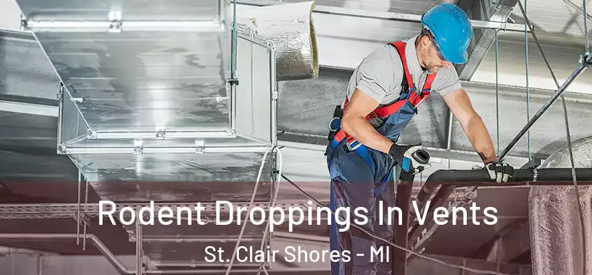  Rodent Droppings In Vents St. Clair Shores - MI