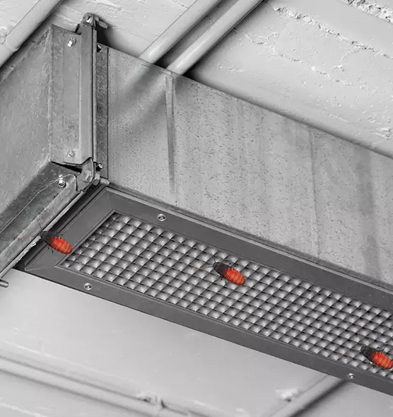 About Air Duct Cockroach Removal in St. Clair Shores, MI