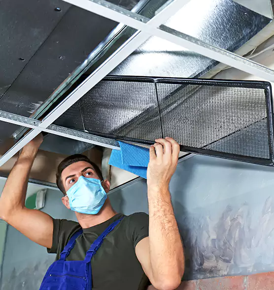 Professional Air Duct Pollen Cleaning in St. Clair Shores, MI