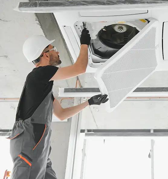 About Air Duct Rodent Removal in St. Clair Shores, MI