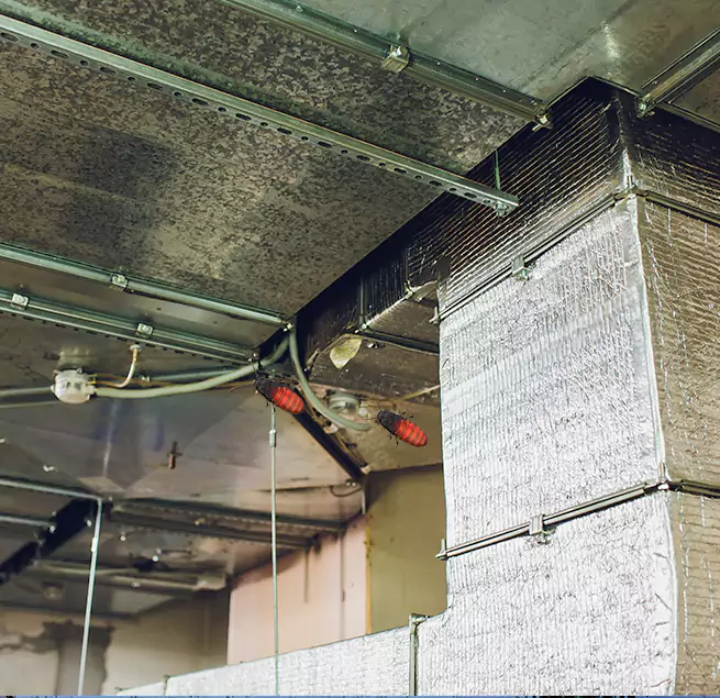 Why Homeowners & Businesses Trust Us in St. Clair Shores, MI?